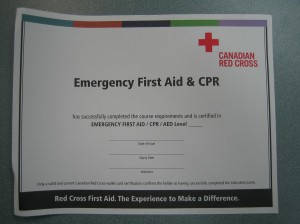 Emergency First Aid certificate (wall mount size)