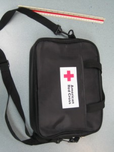AED bag